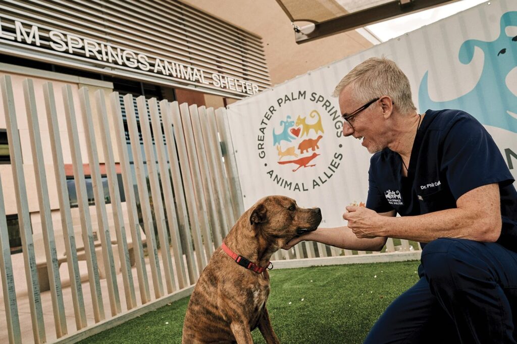 Animal Shelters