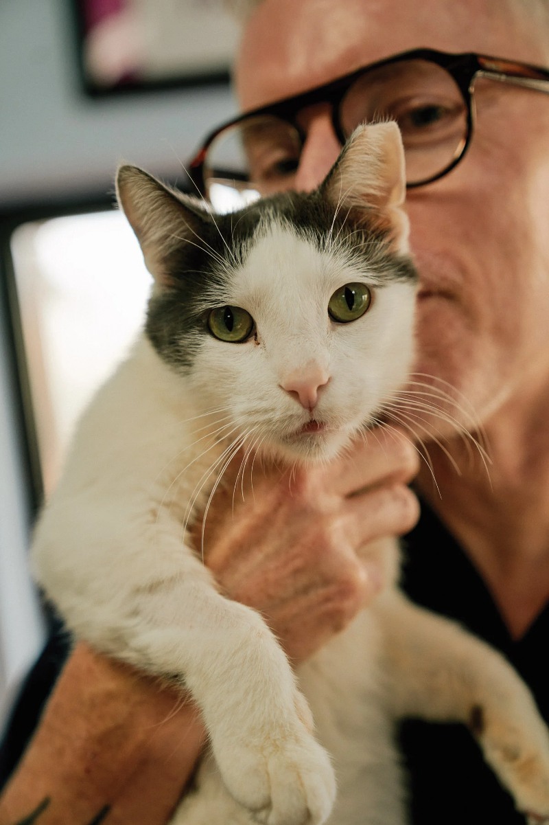 Animal Shelters