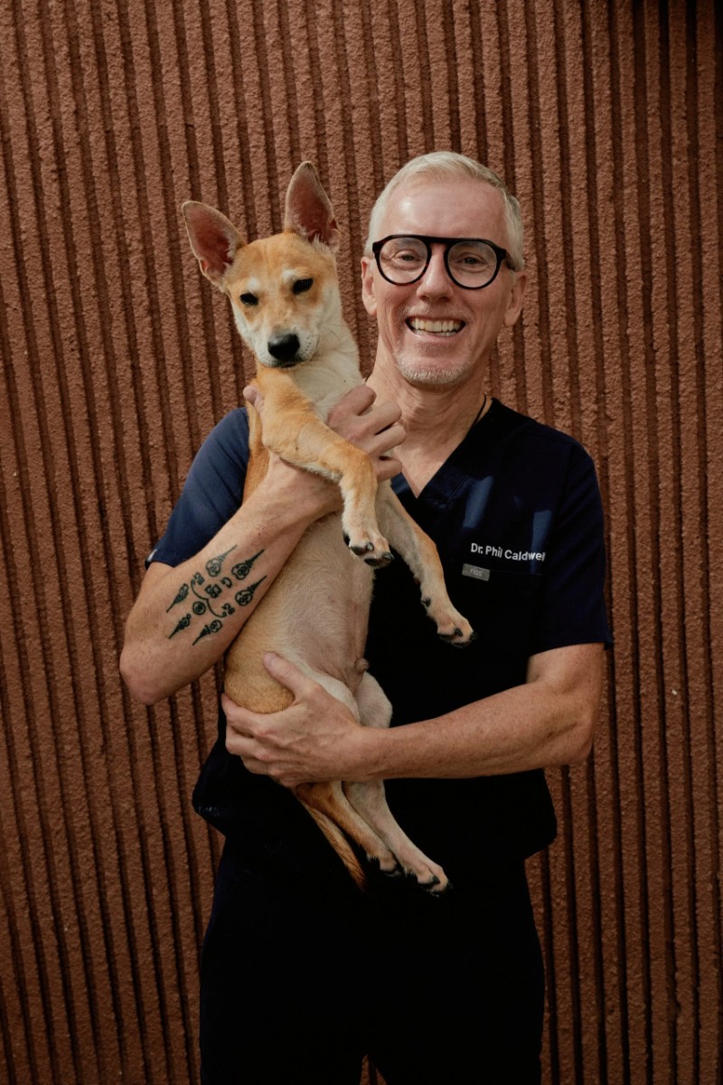 Animal Shelters