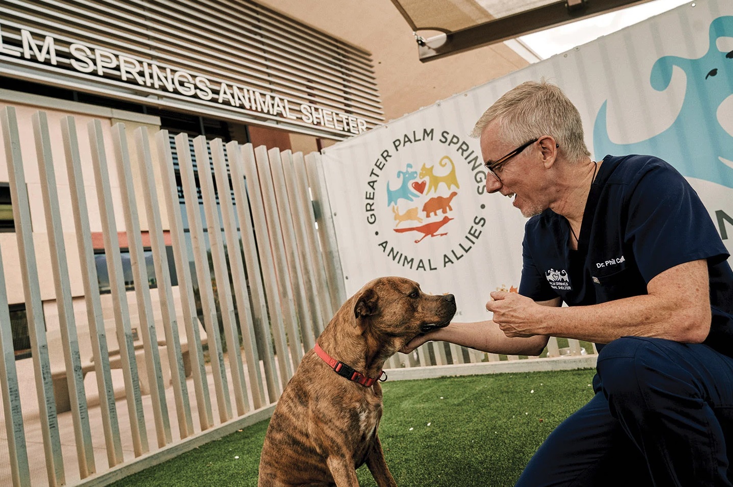 Animal Shelters